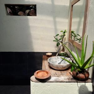 巴芝丹Harry's Ocean House Pacitan的一间用石头碗和植物做成的柜台浴室