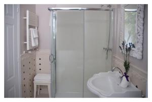 圣贝内代托-德尔特龙托Casa Antonelli的带淋浴和盥洗盆的白色浴室