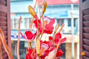 麻坡STREETVIEW HOTEL的花瓶里一束红花