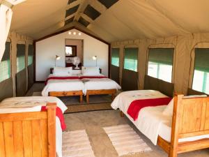 索利泰尔Namib Desert Camping2Go的一间卧室,配有三张床