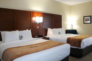 富尔顿戴尔Comfort Inn & Suites Fultondale Gardendale I-65的一间酒店客房,房间内设有两张床