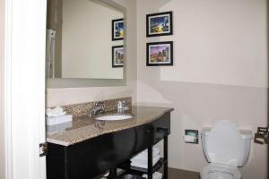 富尔顿戴尔Comfort Inn & Suites Fultondale Gardendale I-65的一间带水槽、卫生间和镜子的浴室