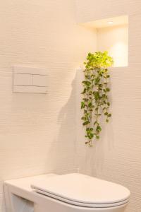 加比切马莱Hotel Rex的浴室厕所顶部的植物