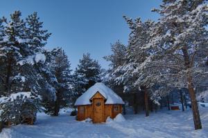 冬天的伊纳利湖移动小屋露营地