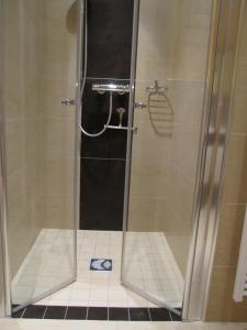 施瓦岑巴赫Birnbaumhof - Hotel Pension und Ferienwohnungen的浴室里设有玻璃门淋浴