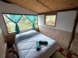 阿尤鲁奥卡Chalés Horizonte Vertical的卧室配有床,位于带2个窗户的房间