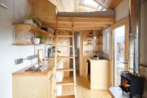 巴拉特Unique tiny house with wood fired roll top bath in heart of the Cairngorms的一个小房子,里面设有高架床