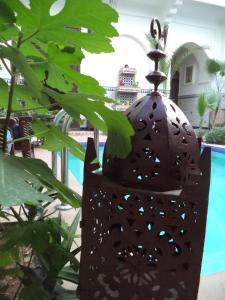 马拉喀什达尔穆莱阿里摩洛哥传统庭院旅馆的相册照片