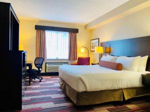 伦敦安大略省伦敦贝斯特韦斯特普鲁士斯通里奇酒店及会议中心的配有一张床和一张书桌的酒店客房