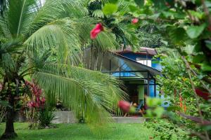 帕沃内斯Pool house, Casa Luna的房屋前的棕榈树