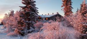 索特Polaris Homes Huippu的雪中小屋,靠近一些树木
