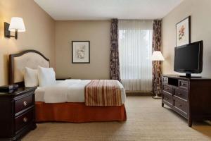 弗雷德里克顿弗雷德里克顿华美达酒店的配有一张床和一台平面电视的酒店客房
