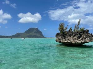 特鲁欧克比赫斯Villa Aussee Mauritius的水中的岩石,山底下