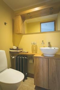 库雷萨雷阿林娜格斯特公寓的浴室配有白色卫生间和盥洗盆。