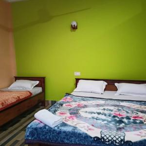 卡齐兰加MONIRAMS INN.的绿墙客房的两张床