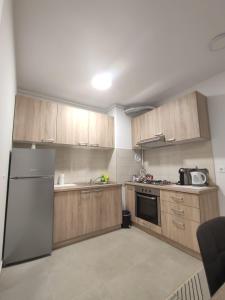扎普雷希奇FIOLICA的厨房配有木制橱柜和不锈钢冰箱。