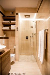 波兹南Apartament Bimba - Free Parking的带淋浴和卫生间的浴室
