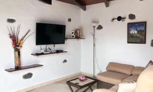 蒂纳霍Sun, Relax & Lava, Free wifi 600mb, BBQ的带沙发和平面电视的客厅