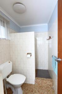 莱克斯恩特伦斯Albatross Motor Inn的一间带卫生间和淋浴的浴室