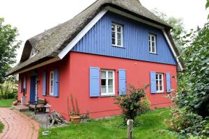 普雷罗Darßer Landhaus的红色和蓝色的房子,拥有茅草屋顶