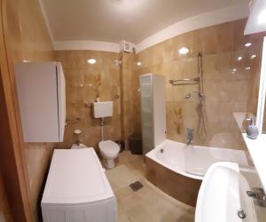 博萨迪法萨Appartamento Casa Montagna Lory的浴室配有卫生间、淋浴和盥洗盆。