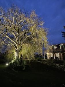 西塞河畔的舒齐拉卡特高尔夫酒店的夜晚在房子前面的一棵大树