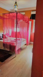 波尔图波尔图里亚德旅馆的一间卧室配有一张带粉红色窗帘的天蓬床