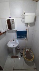 邦雅尔丁-达塞拉Ranchinho da Serra chalé的一间带水槽和卫生间的小浴室