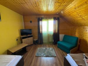 彼得罗沙尼Cabana la Razvan的小房间设有绿椅和电视