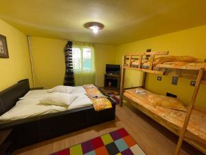 彼得罗沙尼Cabana la Razvan的一间卧室设有两张双层床和一扇窗户。