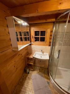 BaierdorfFerienhütte Bosic的一间带水槽和淋浴的浴室