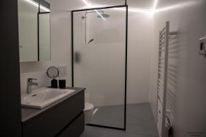 通厄伦Vakantiewoning Xalot的白色的浴室设有水槽和淋浴。