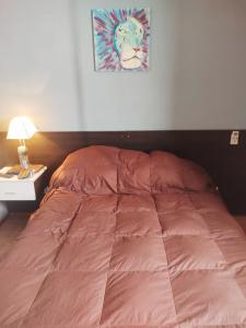 科尔多瓦Lunita de Alberdi的卧室内的一张带粉红色棉被的床