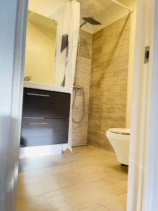 奥尔堡aday - Central cozy and bright apartment的带淋浴和卫生间的浴室。