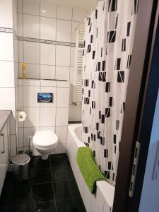 克雷费尔德Appartement Krefeld-City的浴室设有白色卫生间和绿色地毯。