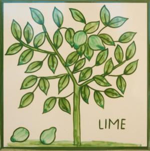 拉戈斯Casa Monte Cristo Apartments - Lime的画一棵树,有条线
