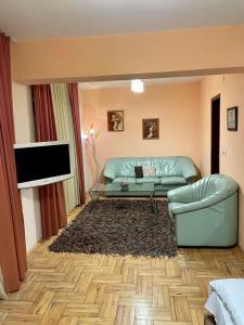普罗夫迪夫Venis House的客厅配有绿色沙发和电视
