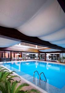 利雅德利雅得丽笙酒店的一座大型游泳池,其建筑背景为: