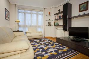 奥维多Apartamento de La Casona de Riomera的客厅配有白色沙发和平面电视。