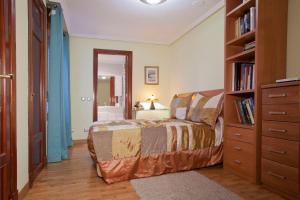 奥维多Apartamento de La Casona de Riomera的一间卧室设有一张床和一个书架