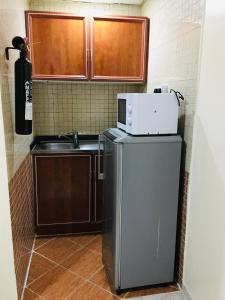 阿吉曼Safari Hotel Apartments的厨房配有水槽和冰箱上方的微波炉