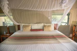Murchison Falls National ParkTwiga Safari Lodge的一间卧室配有一张带天蓬的床