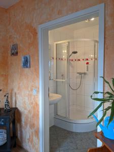 科斯维格Ferienwohnung in der Altstadt von Coswig Anhalt Gästezimmer的带淋浴和盥洗盆的浴室