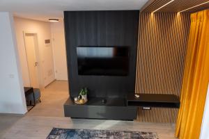 布拉索夫Apart B&V的客厅设有黑色墙壁和平面电视