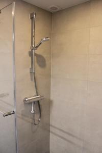 法尔肯堡Appartement Dersaborg的带淋浴的浴室,带玻璃门