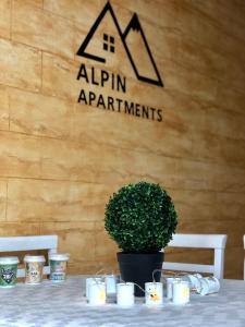 弗拉西克Alpin Apartments Vlašić的一张桌子上放着盆栽植物和蜡烛