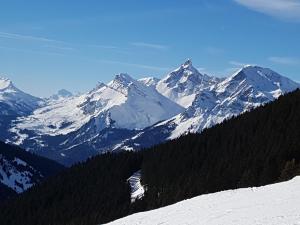 圣热尔韦莱班Saint-Gervais-les-Bains, Appartement 4 personnes的一片覆盖着雪的山脉,前方有树木