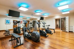 维也纳维也纳风格丽笙酒店的健身房设有跑步机和椭圆机