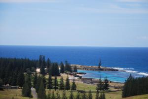 彭特派因Coast Norfolk Island的享有树木繁茂的海滩和大海的景致。