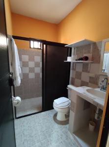 巴利亚多利德Casa Xu´unan的浴室配有卫生间、淋浴和盥洗盆。